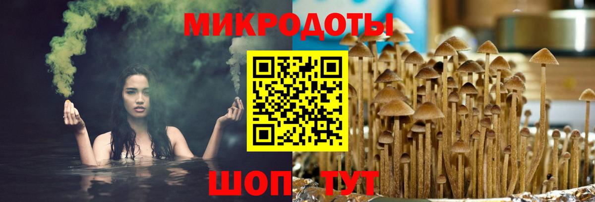 Псилоцибиновые грибы GOLDEN TEACHER Тихвин
